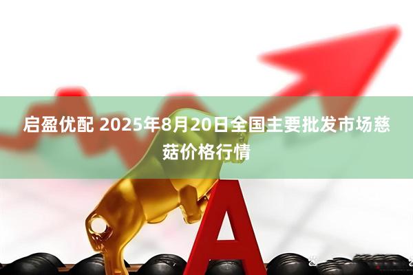 启盈优配 2025年8月20日全国主要批发市场慈菇价格行情