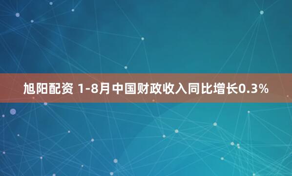 旭阳配资 1-8月中国财政收入同比增长0.3%