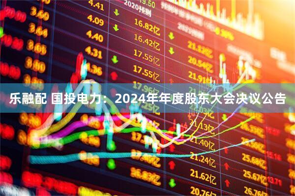 乐融配 国投电力：2024年年度股东大会决议公告
