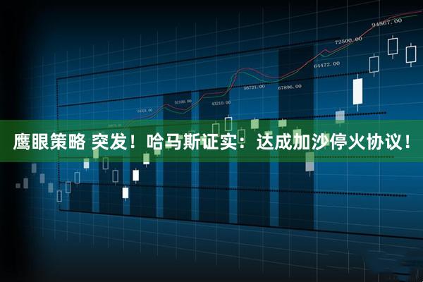 鹰眼策略 突发！哈马斯证实：达成加沙停火协议！